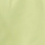 Drawstring Elastic waist Sweat short - Lime